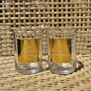 Urban Outfitters Gold Label Moon and Shine Cocktail Glasses